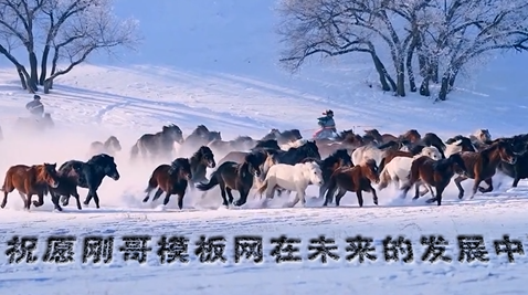 刚哥模板编号QY1：雪地策马奔腾