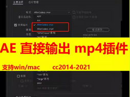 MP4格式插件（含安装教程）