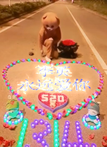 刚哥模板编号306：表白熊模板