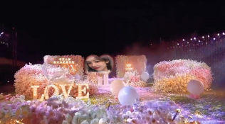 刚哥模板编号309：浪漫花海