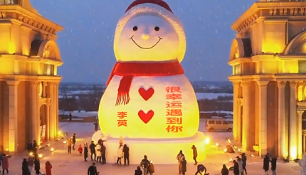 刚哥模板编号341：夜景大雪人